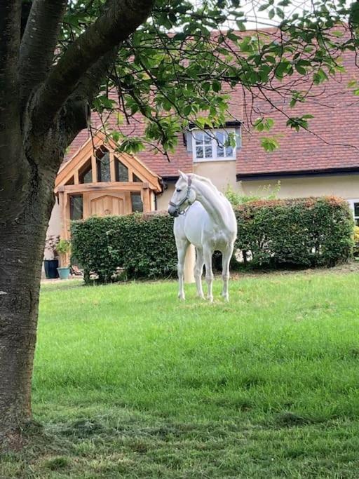 2 Beds & Living In Our Idyllic Country * Bedford